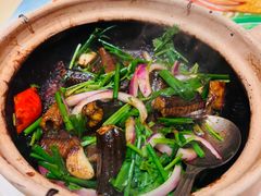 黄鳝啫啫煲-惠食佳(滨江大公馆店)