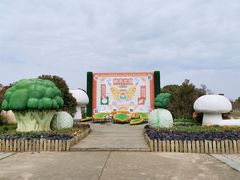 -上海都市菜园