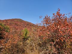 -周口店坡峰岭风景区