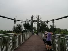 -西青郊野公园