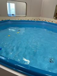 -海豹航航水育游泳中心(芳园里店)