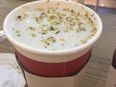 -1828王老吉·草本新茶(珠江新城地铁站店)