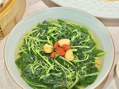 -南海渔村(珠江新城店)