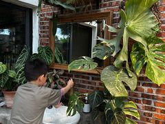 -自由生长植物工作室(深港花卉中心店)