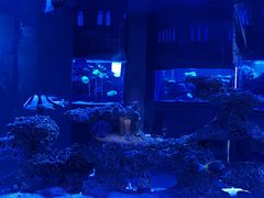 -上和臻品中国菜(花园街店)