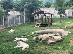 -西安秦岭野生动物园