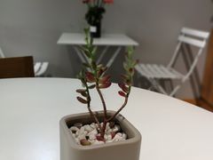 -吉森Bakery(教育路店)
