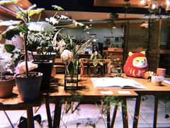 大堂-柴务处·柴犬主题狗咖