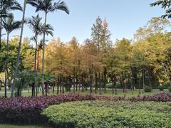 -晓港公园