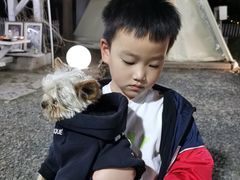 -安德鲁户外烧烤帐篷营地(马泉营店)