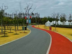 -上海长兴岛郊野公园