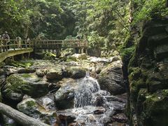 -牛背梁国家森林公园