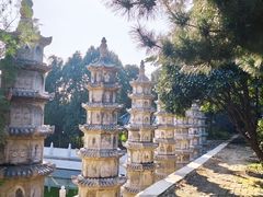 -泰山风景名胜区-普照寺
