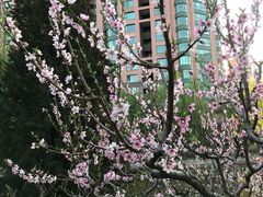 -团结湖公园