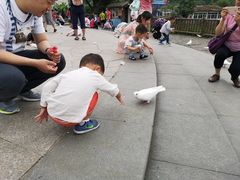 -无锡动物园·太湖欢乐园