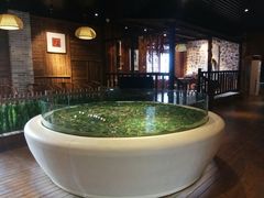 -九龙江国家森林公园