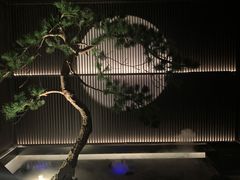 -大拙里·精致融合菜(沙湖桃源国际店)