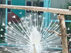 -水上乐园·欢乐世界