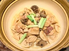 -子福慧(虹桥店)