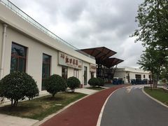 -上海长兴岛郊野公园