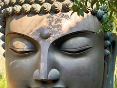 -杭州植物园