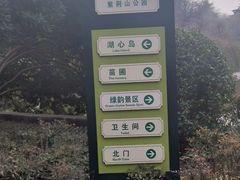 -紫荆山公园