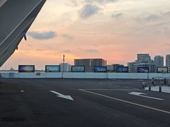 -碧海金沙