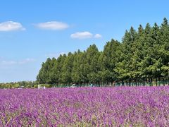 -嘉北郊野公园