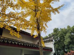 -香山寺