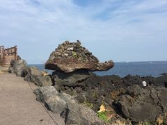 -灵龟之家百象馆(百象馆联合旗舰店)