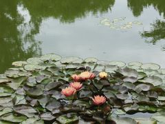 -国家植物园南园