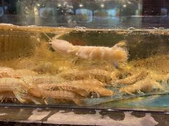 -龙宴海鲜城(经中路店)