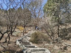 -香山公园
