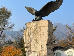 -鹫峰国家森林公园