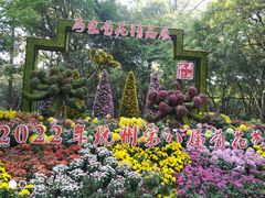 -杭州植物园