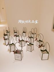 -紫御国际抗衰ZOE ANTI AGING