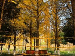 -成都中医药大学(温江校区)