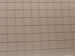 -老板恋上鱼(印象城店)