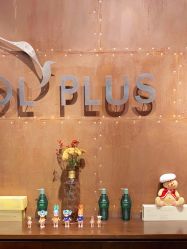 -IDOL-PLUS