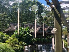 -中国科学院西双版纳热带植物园
