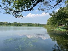 -东湖落雁景区