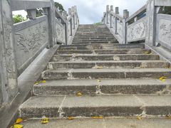 -杨梅坑