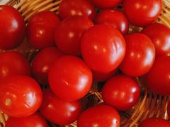 -蒙都43°9羊火锅·赤峰美食(宁城店)