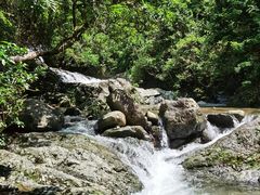 -梧桐山风景名胜区