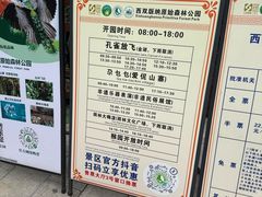 -西双版纳原始森林公园