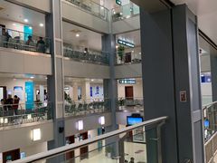 -上海市第五人民医院