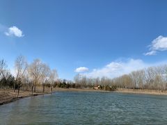 -东郊湿地公园