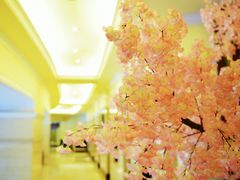 -广州科尔海悦酒店