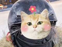 -长白山万达国际滑雪场