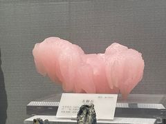 -湖南省地质博物馆